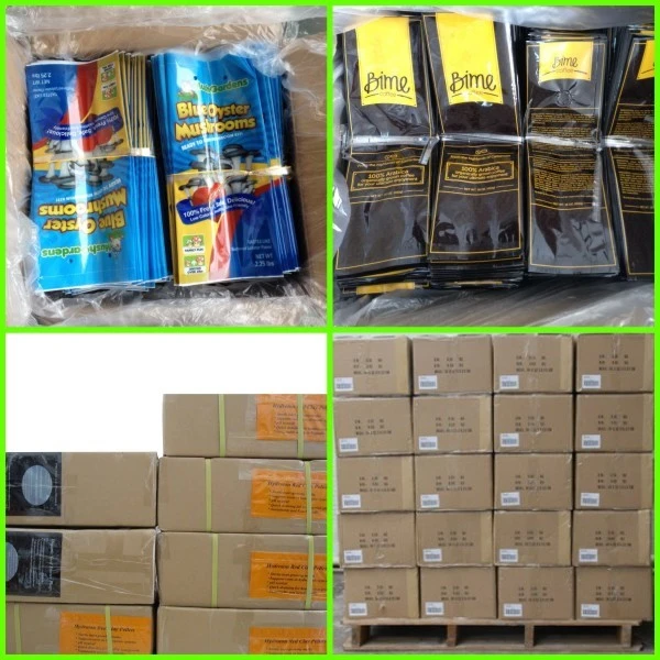 product-600-600
